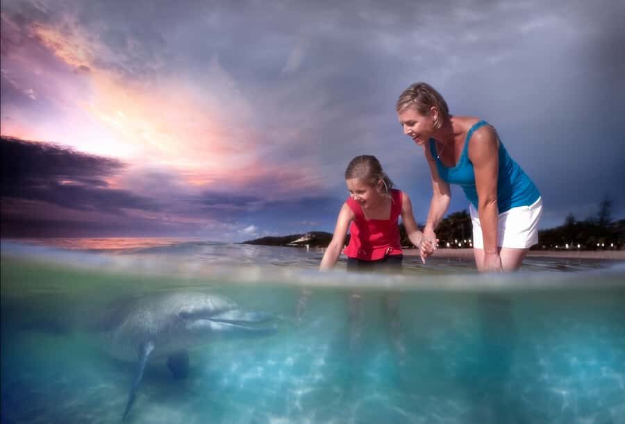 Moreton Island: Tangalooma ATV Quad Bike & Dolphin Feeding - Tangalooma resort access: more than a change of scenery