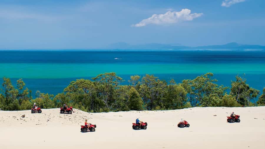 Moreton Island: Tangalooma Day Trip with ATV Quad Bike Tour - Should you book this day trip or skip it?