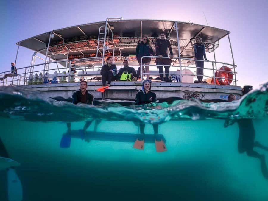 Moreton Island: Tangalooma Day Trip with Snorkeling Tour - Timing and crowds: the one part you should manage upfront