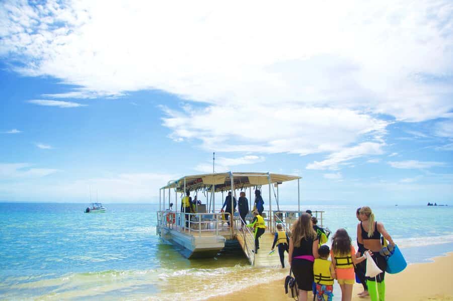 Moreton Island: Tangalooma Day Trip with Snorkeling Tour - Eco Centre and the dolphins talk at 3:15pm