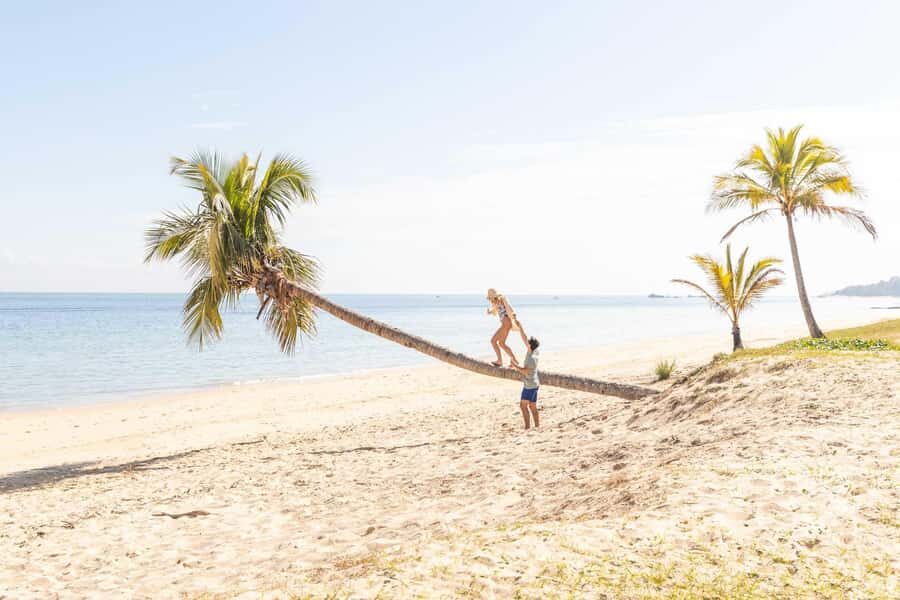 Moreton Island: Tangalooma Day Trip with Snorkeling Tour - Who should book this Moreton Island day trip?