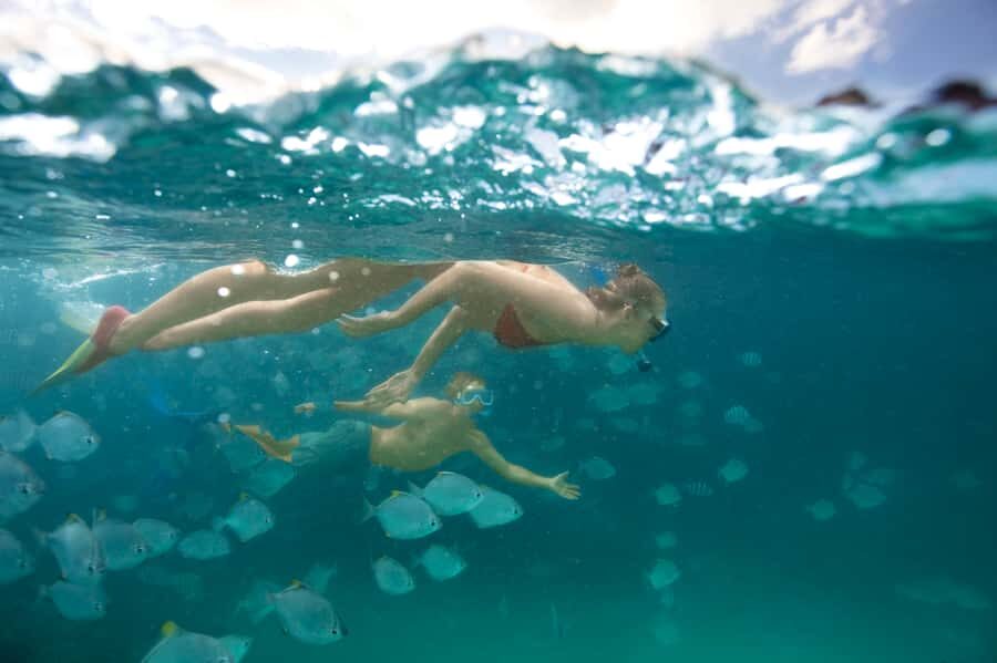 Moreton Island: Tangalooma Day Trip with Snorkeling Tour - The highlight: snorkelling the Tangalooma Wrecks without the stress