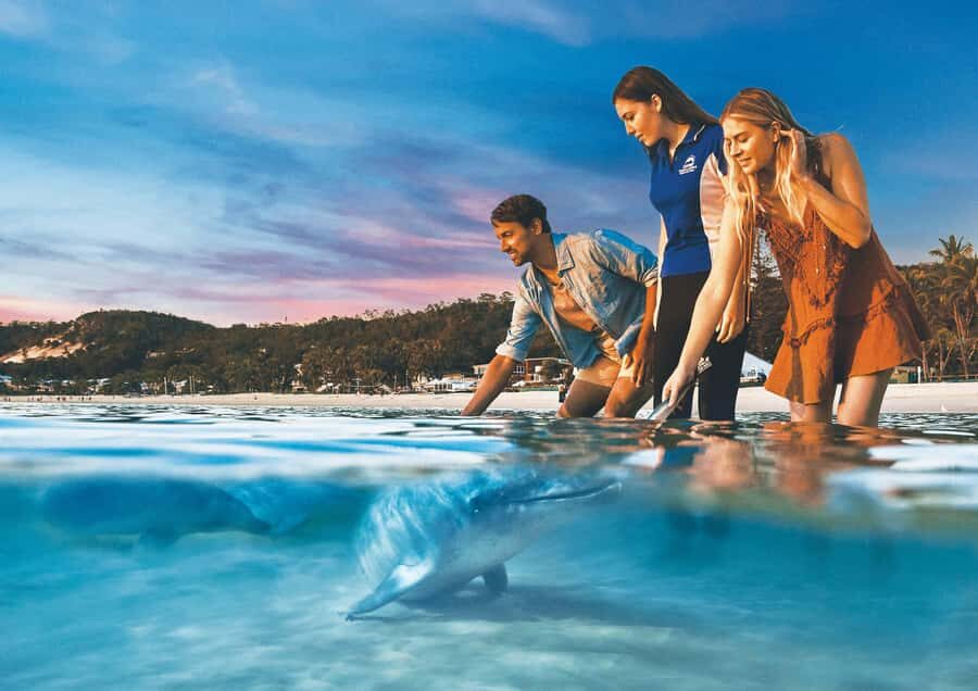 Moreton Island: Tangalooma Snorkeling Tour & Dolphin Feeding - Quick hits before you go