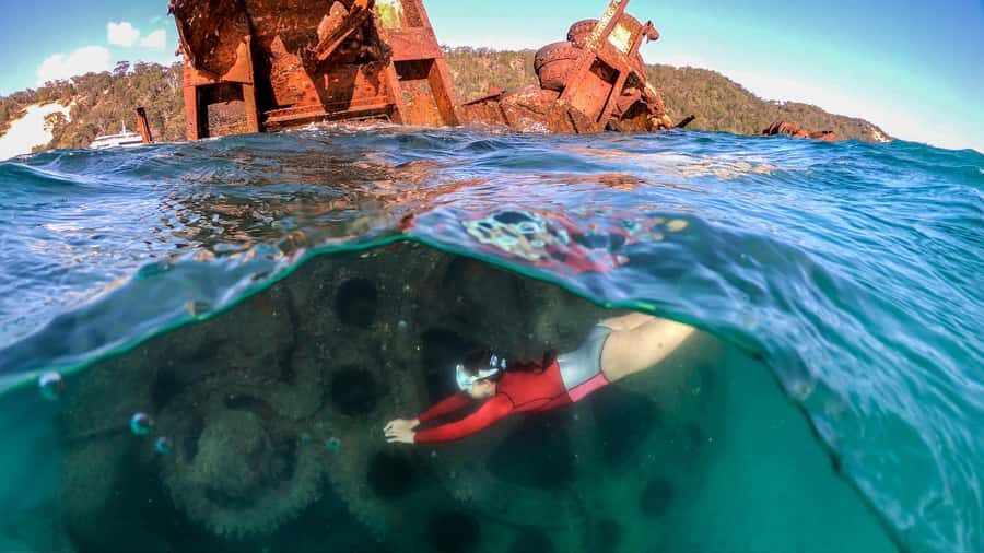 Moreton Island: Tangalooma Snorkeling Tour & Dolphin Feeding - Crossing Moreton Bay: the 75-minute ferry ride and wildlife odds