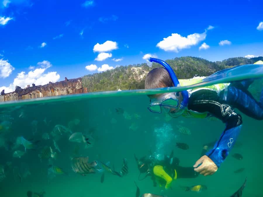 Moreton Island: Tangalooma Snorkelling with Dolphin Viewing - A Crowded Reef? How to Swim Comfortably With a Group