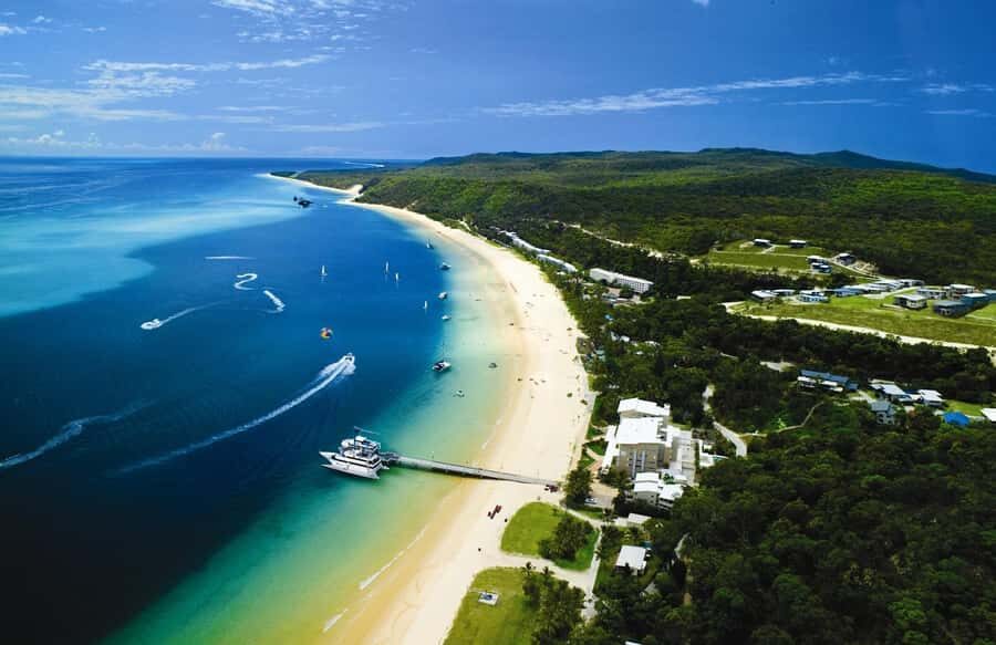 Moreton Island: Tangalooma Whale Watching & Dolphin Feeding - Eco Centre timing: Discover the World of Dolphins at 3:15 PM
