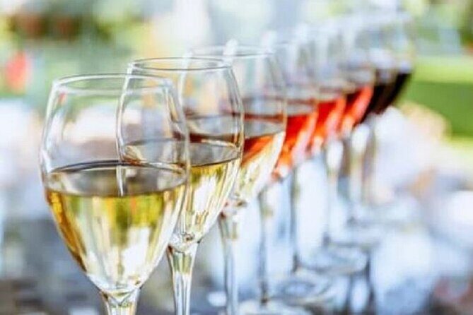 Mount Tamborine Deluxe Wine Tasting with Two Course Lunch - A Day of Wineries and Vineyard Views Without the Driver Job