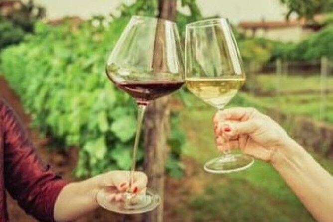 Mount Tamborine Deluxe Wine Tasting with Two Course Lunch - Stop 5: Mason Winery Lunch and Wine Tasting on the Grounds