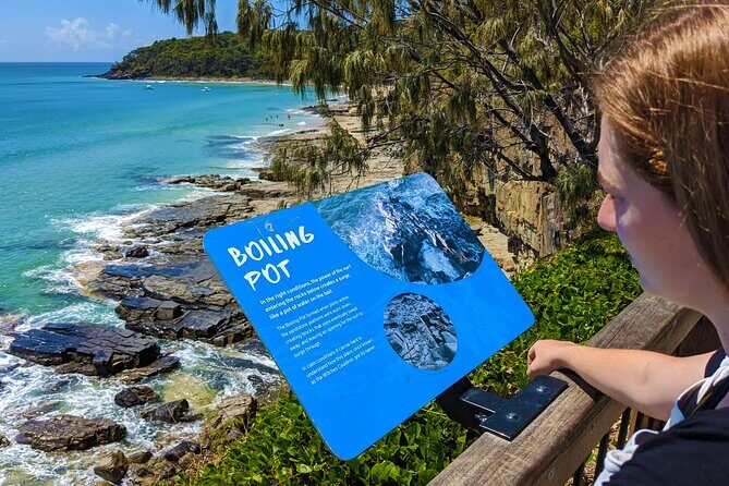 Noosa, Aussie Animals & Glass House Mountains from Brisbane - Quick Hits Before You Go