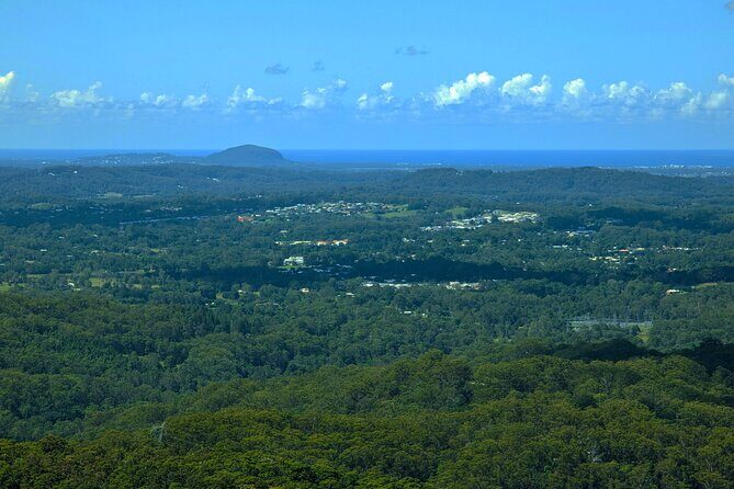 Noosa, Aussie Animals & Glass House Mountains from Brisbane - Why this Sunshine Coast loop works from a 7am pickup