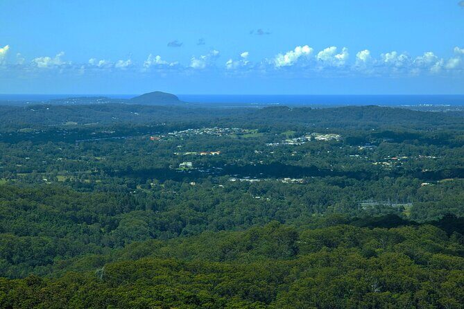 Noosa, Eumundi Markets, Glass House Mountains from Brisbane - Noosa National Park: 40 minutes with real nature payoff