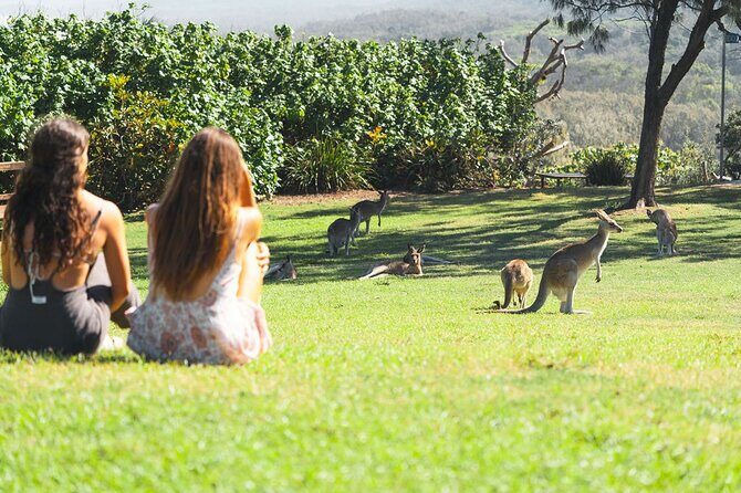 North Stradbroke Island Day Tour from Brisbane – Small Group - Myora Springs Conservation Area: the stop that adds meaning