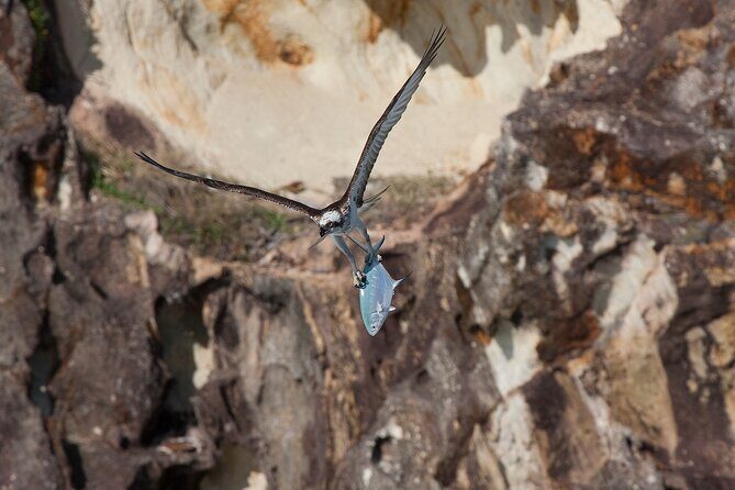 North Stradbroke Island Private Tour with Pickup - Stop 2: Myora Springs (Capeembah) and freshwater wildlife
