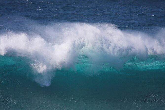 North Stradbroke Island Private Tour with Pickup - Stop 3: North Gorge Walk and the marine-life odds