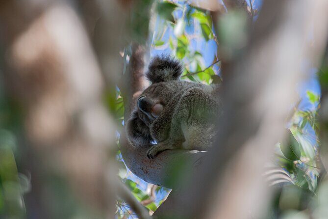 North Stradbroke Island Private Tour with Pickup - Stop 6: Point Lookout Beach and the last stretch