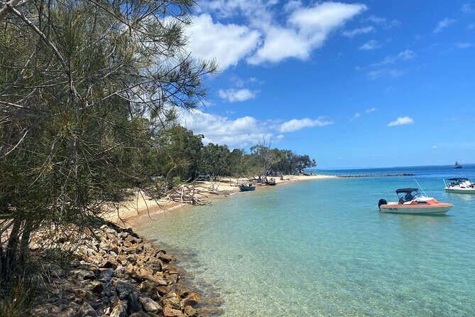 North Stradbroke Island WILDLIFE Adventure Tour from Brisbane - Key highlights worth getting excited about