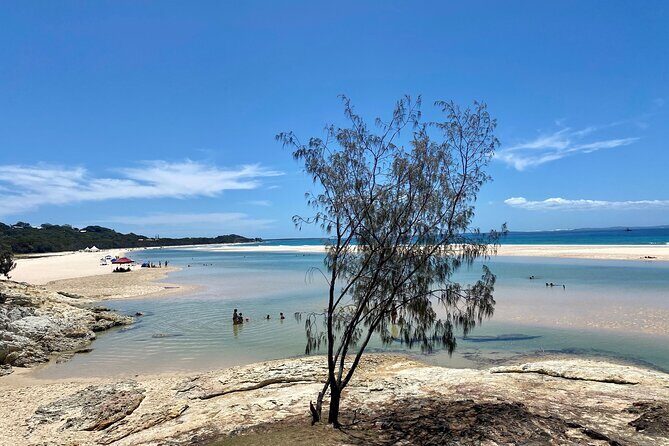 North Stradbroke Island WILDLIFE Adventure Tour from Brisbane - North Stradbroke feels made for a full-day nature fix