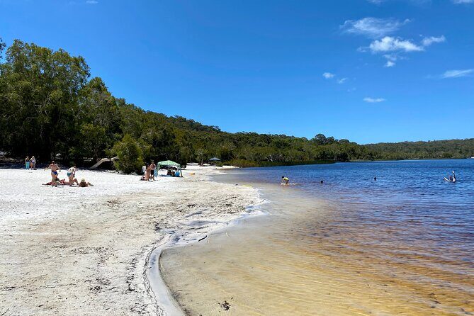 North Stradbroke Island WILDLIFE Adventure Tour from Brisbane - Small-group pacing: how you get time for wildlife and views