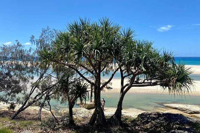 North Stradbroke Island WILDLIFE Adventure Tour from Brisbane - Point Lookout lunch: choose your own style, keep the view