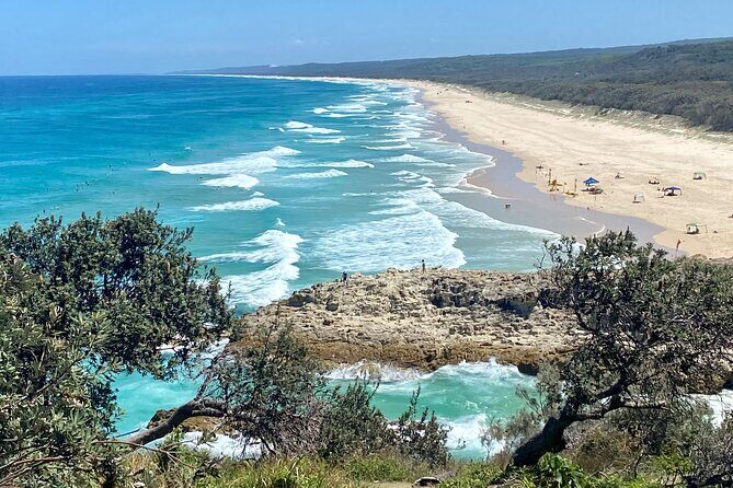North Stradbroke Island WILDLIFE Adventure Tour from Brisbane - Amity Point Beach: a relaxed endgame plus koala search