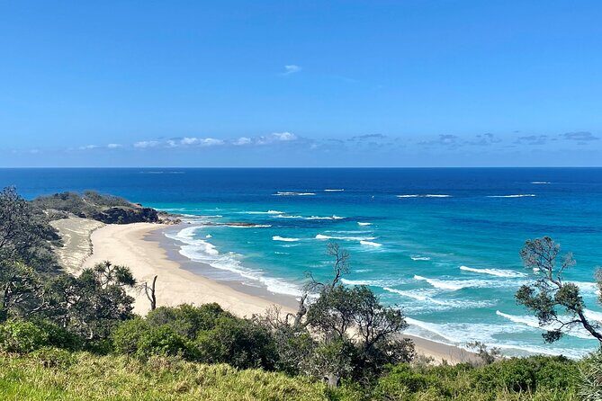 North Stradbroke Island WILDLIFE Adventure Tour from Brisbane - Getting there: 7:45 meet-up, ferry crossing, and a smooth start