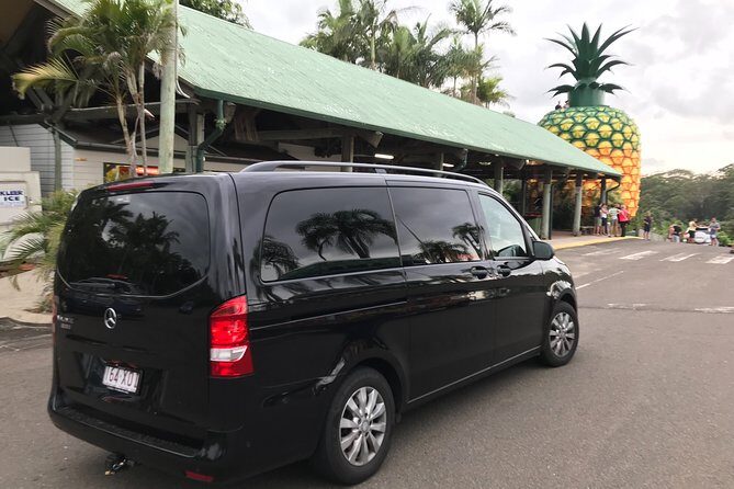 Private Transfer from Brisbane Airport to Noosa for 1 to 3 people - Should you book this private airport transfer to Noosa?