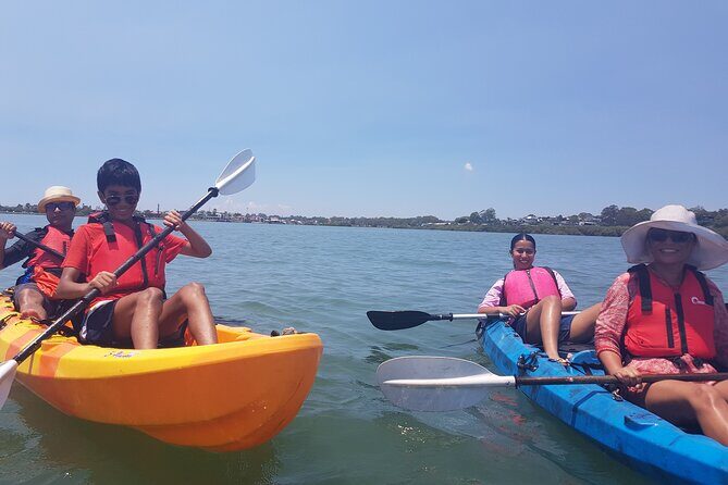 Raby Bay Wildlife Kayak Tour - Stop 2: rocky reef chances for green turtles, dolphins, and fish