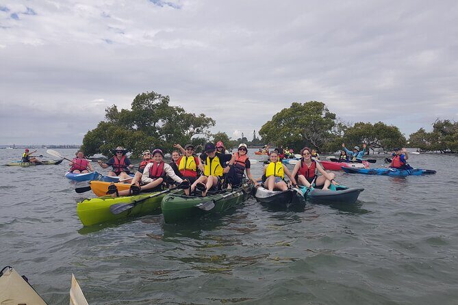 Raby Bay Wildlife Kayak Tour - Group size and vibe: small group kayaking in Moreton Bay Marine Park
