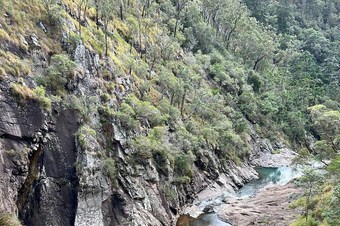 Scenic Rim Explorer - Cedar Creek Glow Worm Caves: what you’re actually seeing underground