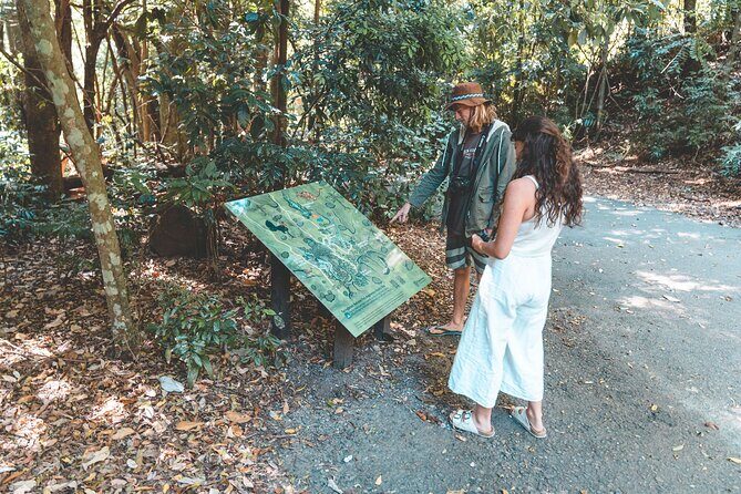 Springbrook andTamborine Rainforest Tour Incl Natural Bridge and Glow Worm Cave - Getting There: Pickup, Drive Time, and Those Curvy Roads