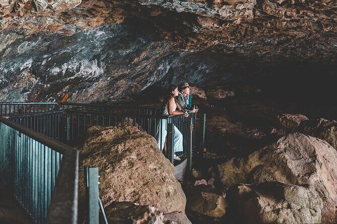 Springbrook andTamborine Rainforest Tour Incl Natural Bridge and Glow Worm Cave - Natural Bridge in Springbrook: The Arched View and Cave Creek Waterfall