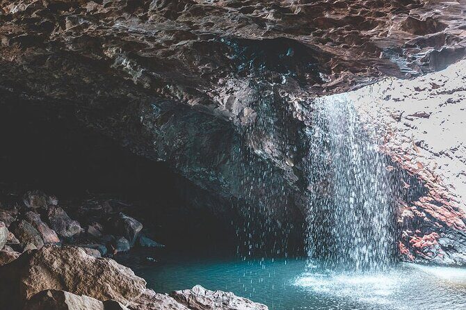Springbrook andTamborine Rainforest Tour Incl Natural Bridge and Glow Worm Cave - Hinze Dam as a Wildlife Pause: Kangaroos and Wallabies by the Water