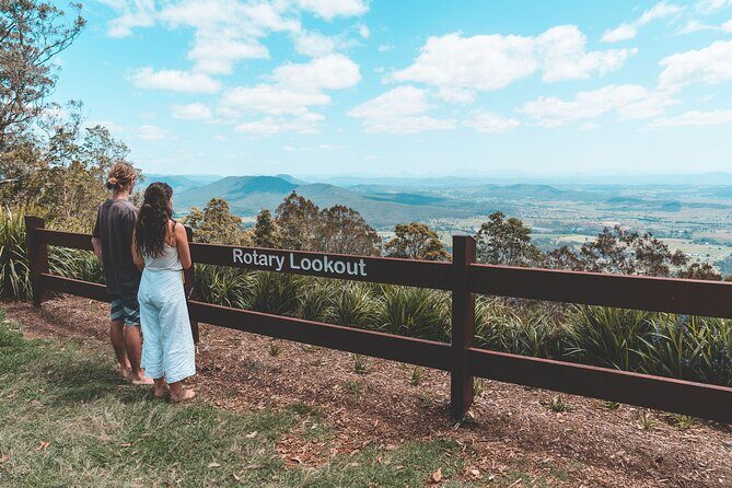 Springbrook andTamborine Rainforest Tour Incl Natural Bridge and Glow Worm Cave - Tamborine Mountain Free Time: Gallery Walk and a Hang-Glider Lookout