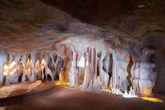 Springbrook andTamborine Rainforest Tour Incl Natural Bridge and Glow Worm Cave - Springbrook’s Curtis Falls Walk: Steps, Water, and Bird Spotting