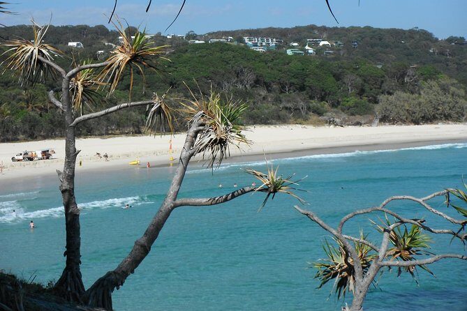 Stradbroke Island 4WD Day Trip from Brisbane - Meals on Stradbroke: morning tea, lunch, and a beach BBQ
