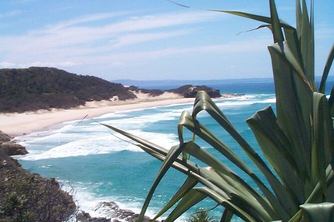 Stradbroke Island 4WD Day Trip from Brisbane - Wildlife spotting: dolphins, turtles, and whales in season