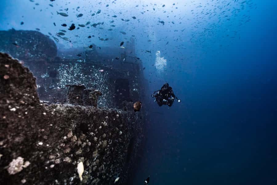 Sunshine Coast: Scuba Dive the Ex-HMAS Brisbane Ship Wreck - Ex-HMAS Brisbane off Mooloolaba: why this wreck is a must-see