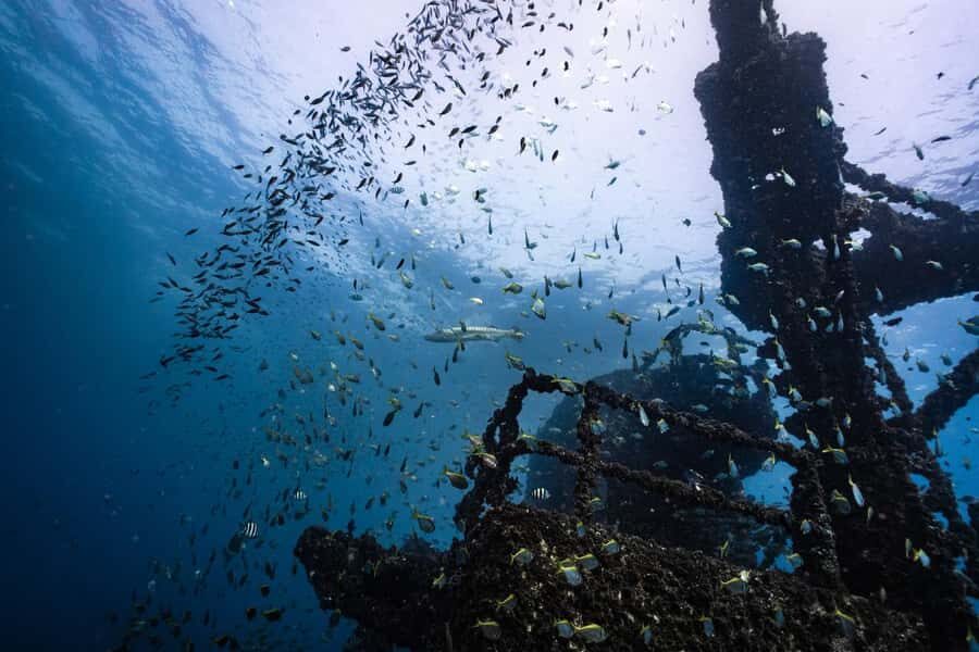 Sunshine Coast: Scuba Dive the Ex-HMAS Brisbane Ship Wreck - Water temperature and visibility: your suit is the real decision here