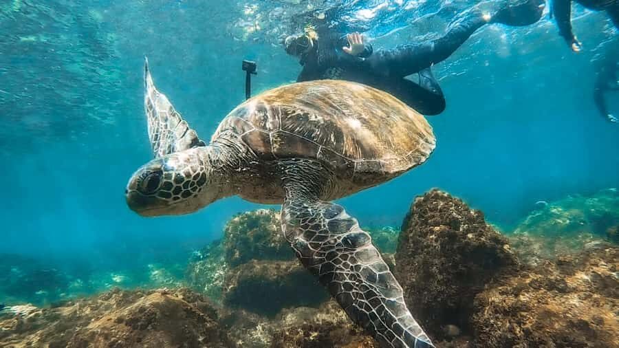 Sunshine Coast: Scuba Dive the Ex-HMAS Brisbane Ship Wreck - Safety basics you can’t ignore (especially for inside sections)