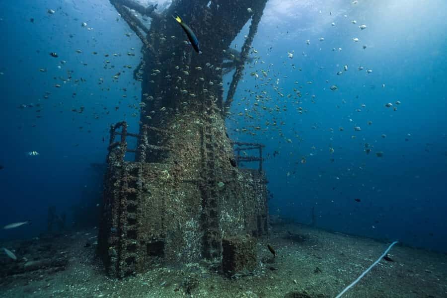 Sunshine Coast: Scuba Dive the Ex-HMAS Brisbane Ship Wreck - Should you book the Ex-HMAS Brisbane wreck session?
