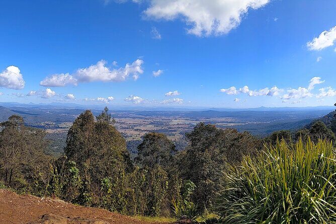 Tamborine Mountain and Paradise Point Tour from Brisbane - Getting picked up in Brisbane and how the day runs