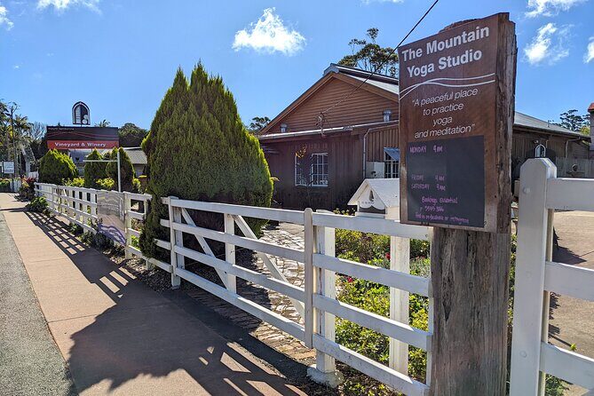 Tamborine Mountain and Paradise Point Tour from Brisbane - Tamborine Rainforest Skywalk: canopy views without a long slog
