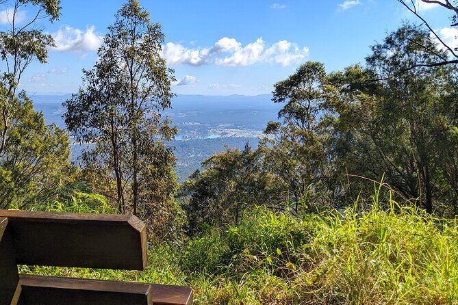 Tamborine Mountain and Paradise Point Tour from Brisbane - Price and value: what you get for $118.56