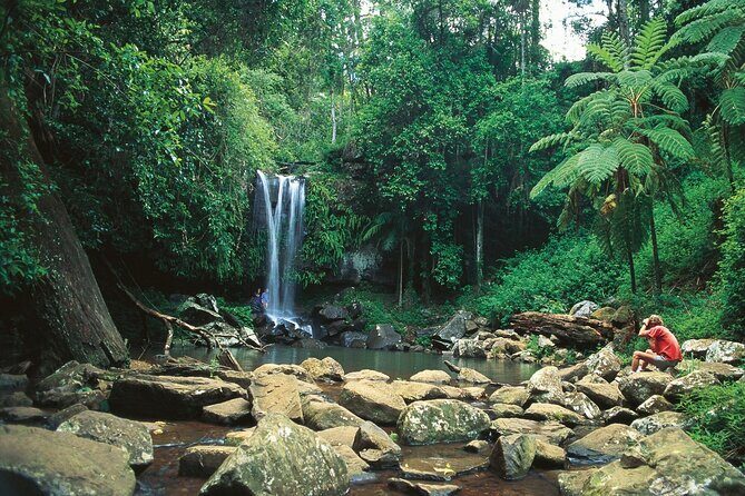 Tamborine Mountain - Hop On Hop Off - From Brisbane - Key things to know before you go