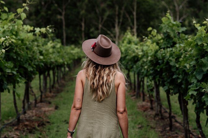 Tamborine Mountain - Hop On Hop Off - From Brisbane - Brisbane to Tamborine Mountain: comfy ride, real-time scenery
