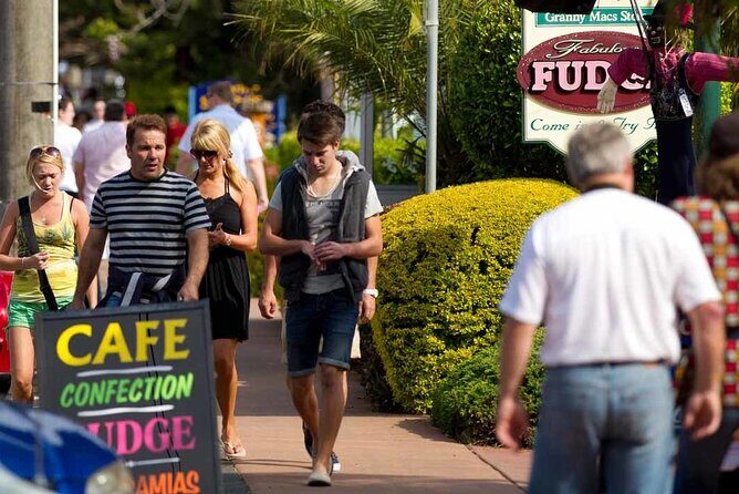 Tamborine Mountain - Hop On Hop Off - From Brisbane - Tamborine Rainforest Skywalk: your walking-stop power move