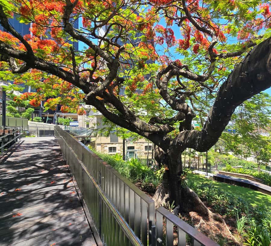 The Brisbane Experience: City Walking Tour - Key things I’d mark on your map