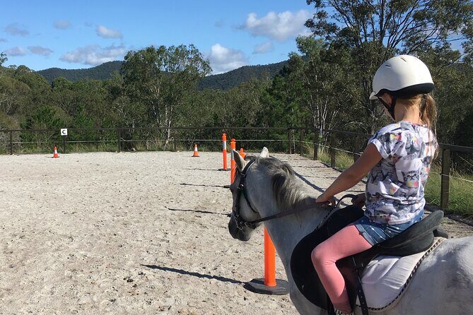 Trevena Glen 1hr Animal Tour - What you’ll meet: donkeys, alpacas, pigs, and more