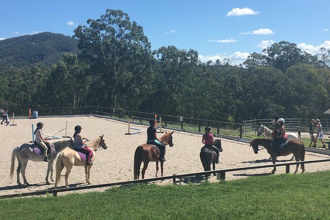 Trevena Glen 1hr Animal Tour - Small-group guiding: why 15 people makes a difference