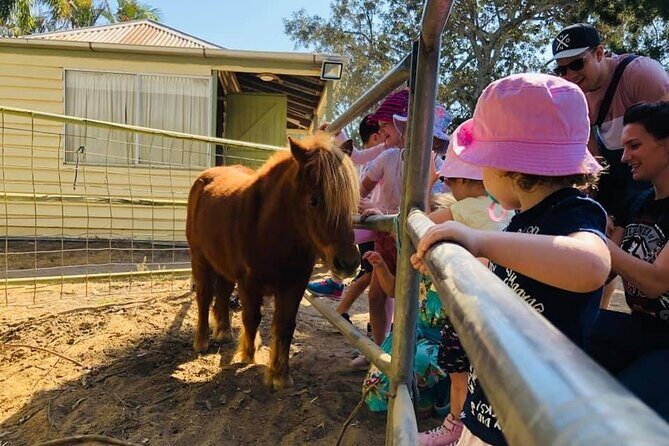 Trevena Glen 1hr Animal Tour - Should you book the Trevena Glen 1hr Animal Tour?